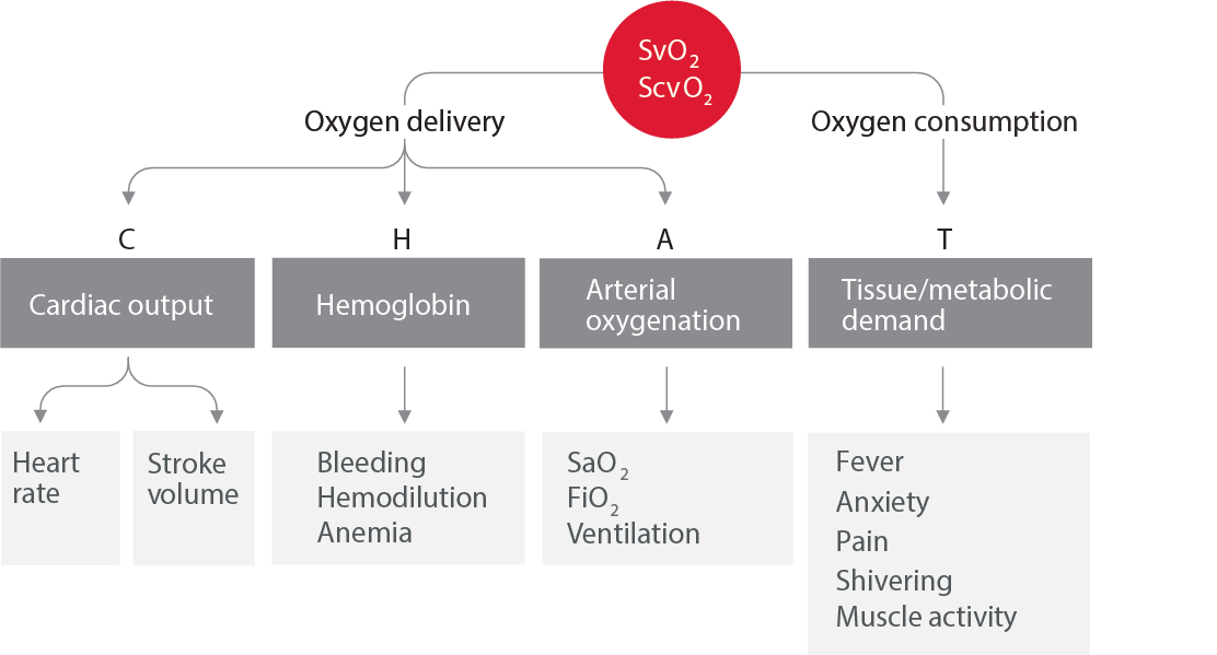 Balance of oxygen delivery