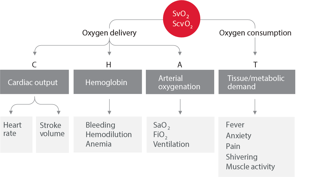 Balance of oxygen delivery
