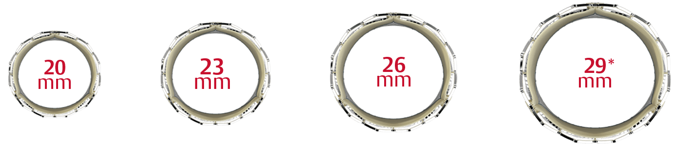 Transcatheter SAPIEN 3 Ultra info image
