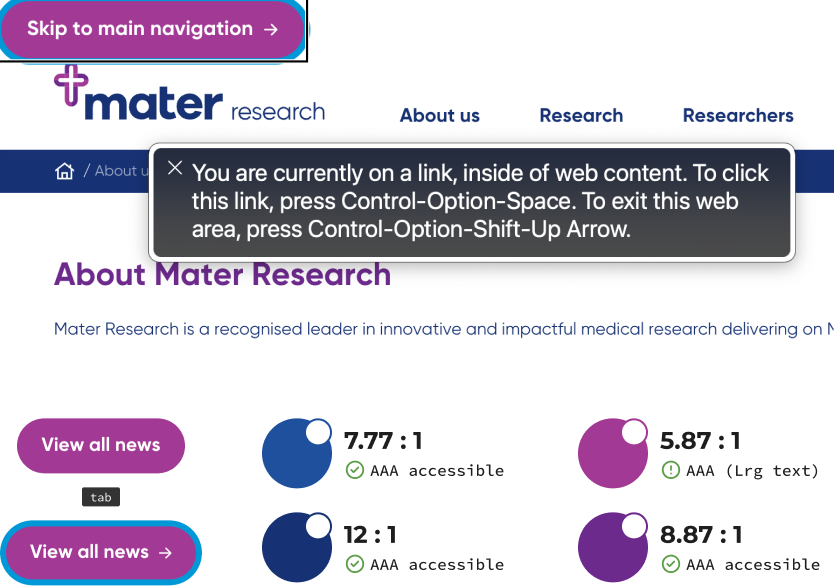 Screen reader & tab navigation accessibility functionality and colour contrast