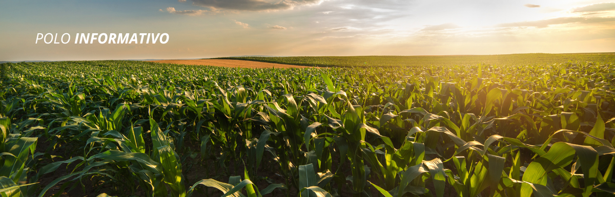 Kramp lancia il Polo Informativo: il centro online dedicato alla condivisione di conoscenze inerenti al settore agricolo e del giardinaggio e forestale