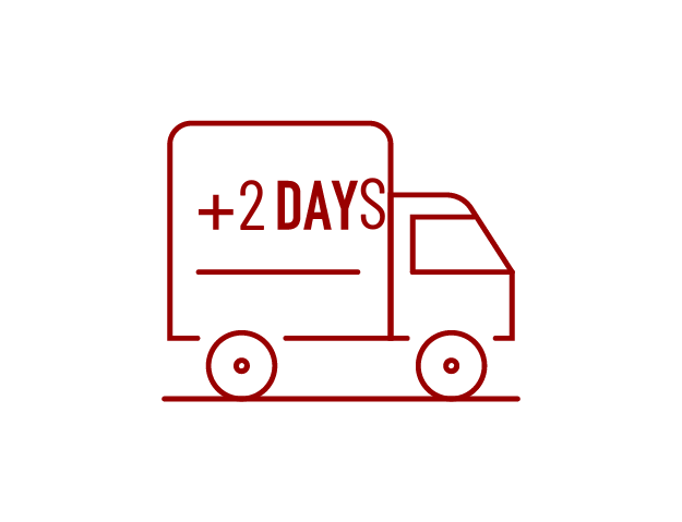 2 day delivery (2).png