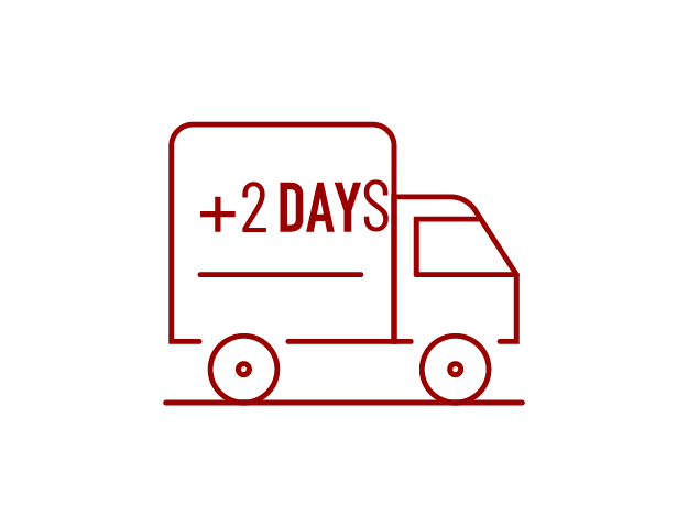 2 day delivery (1).png