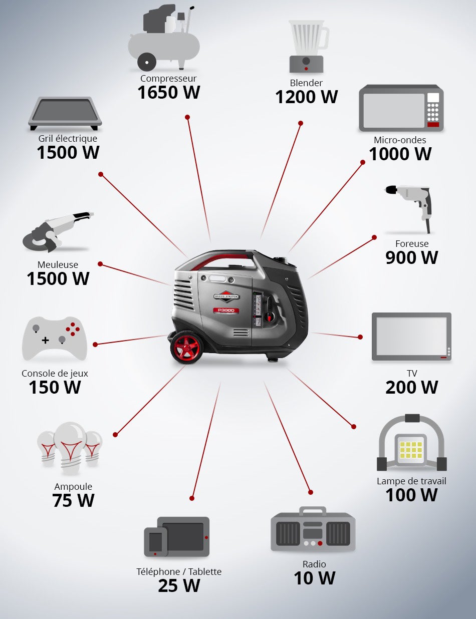 Briggs & Stratton