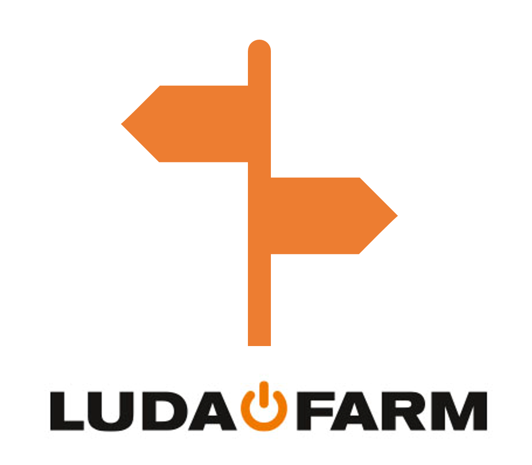 Luda_scelta.png