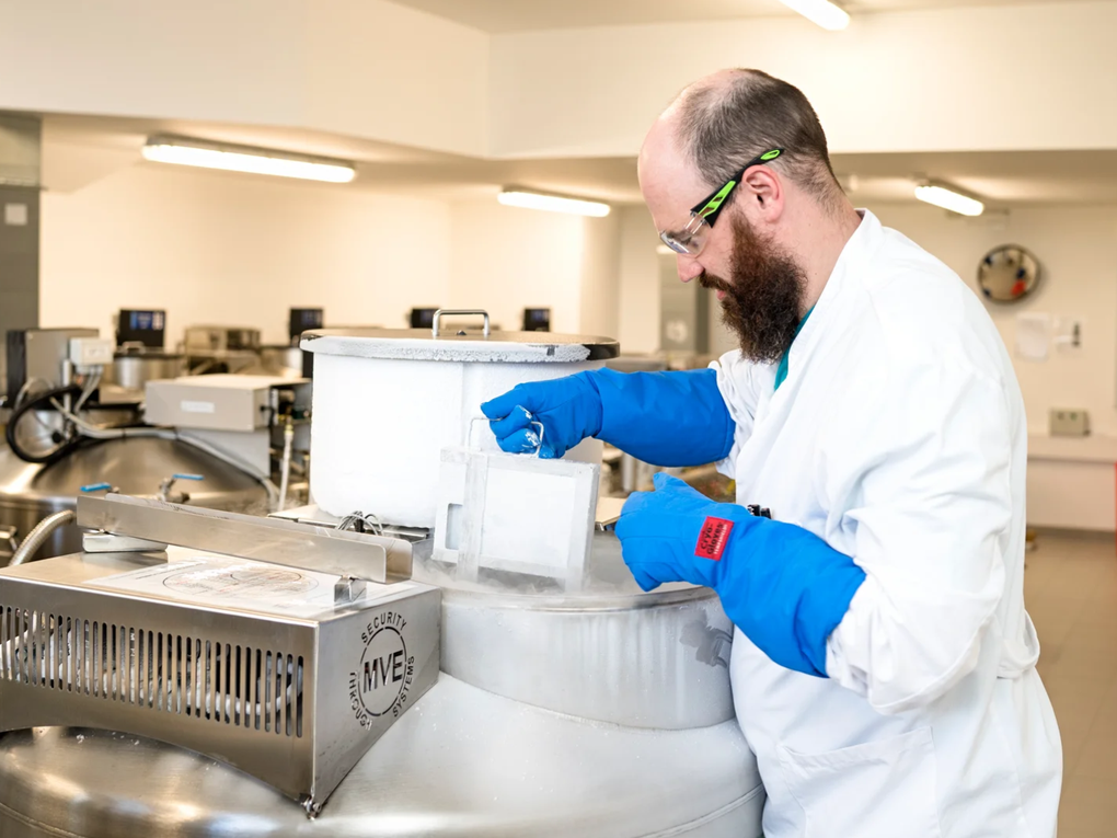 Banco de Células Madre DKMS Banco de Células Madre DKMS