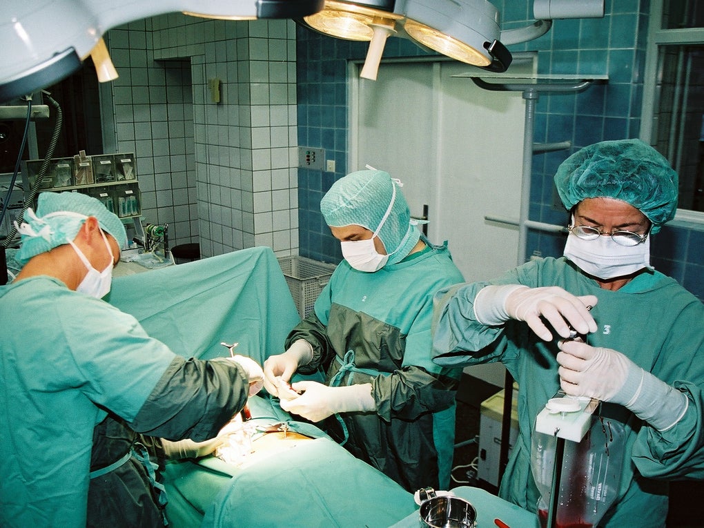 Knochenmarkentnahme Knochenmarkentnahme