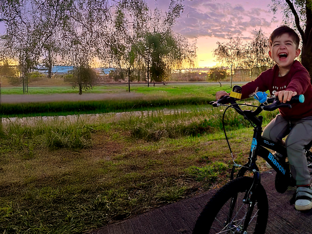 Vicente Alarcón Vicente Alarcón