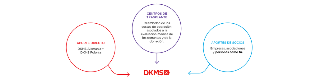 Financiamiento DKMS Chile Financiamiento DKMS Chile