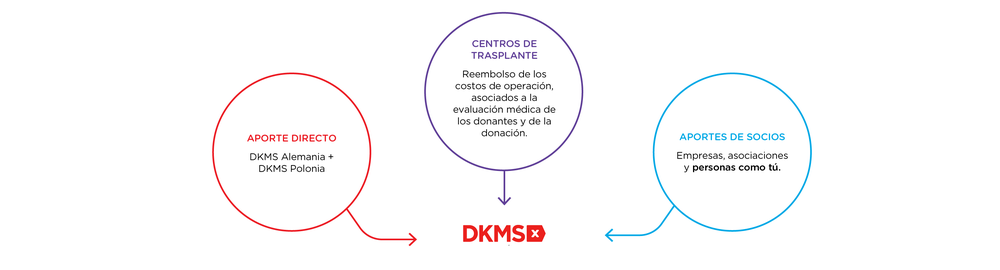 Financiamiento DKMS Chile