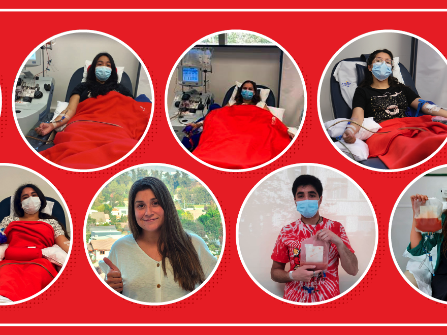 Donantes DKMS 2022 Donantes DKMS 2022