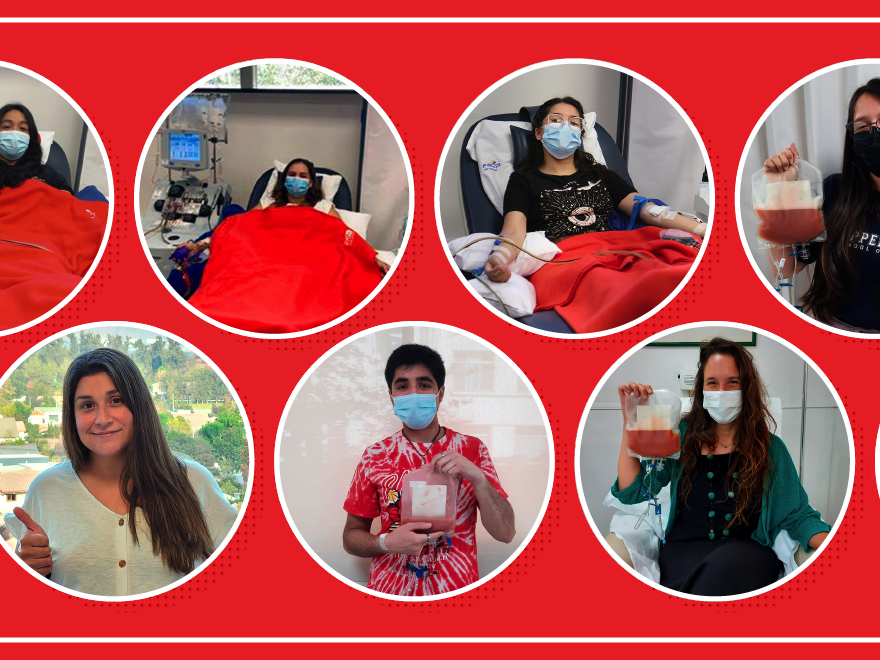 Donantes DKMS 2022 Donantes DKMS 2022