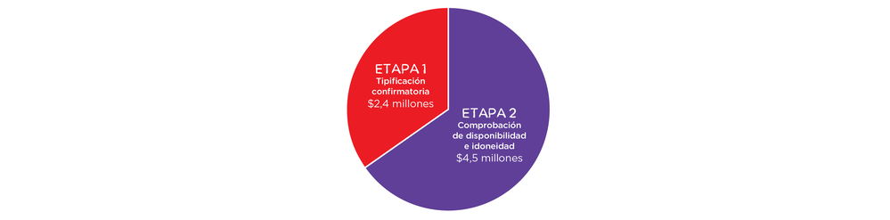 Etapas y costos de una donación DKMS Etapas y costos de una donación DKMS