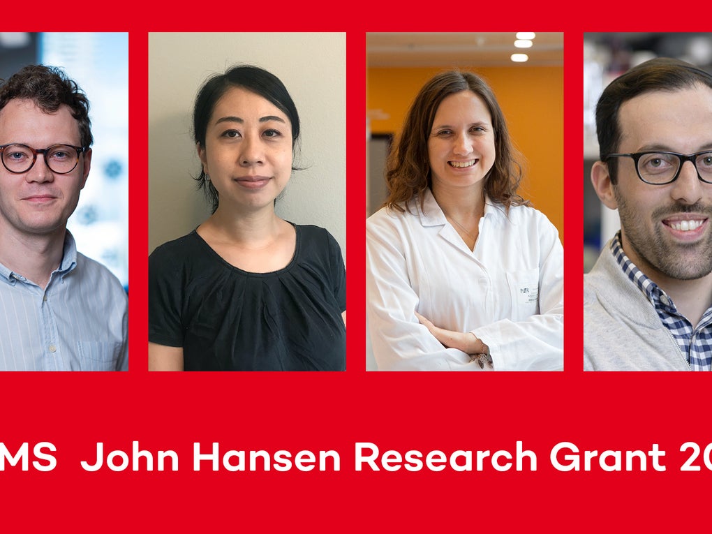 Beca de Investigación DKMS John Hansen 2023 Beca de Investigación DKMS John Hansen 2023