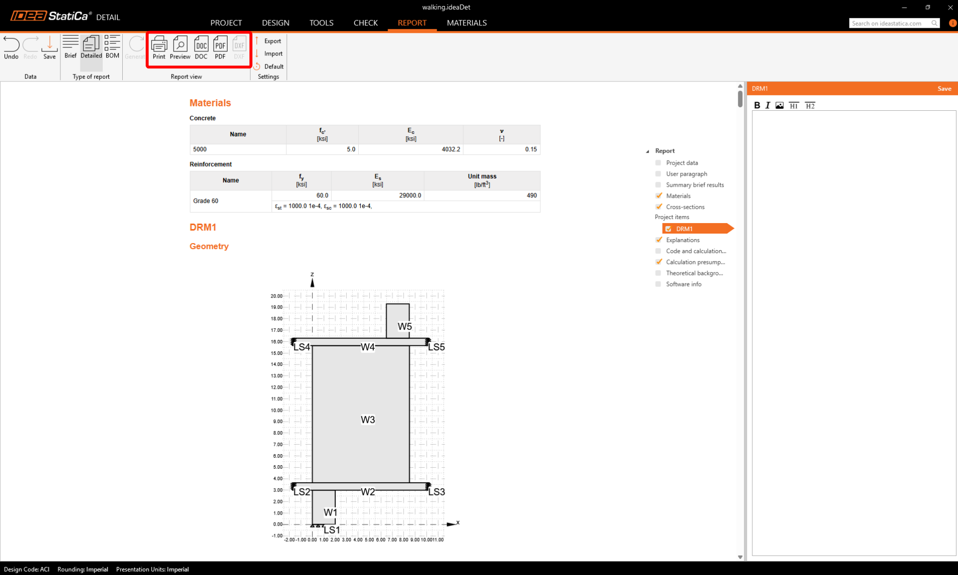 Report print options