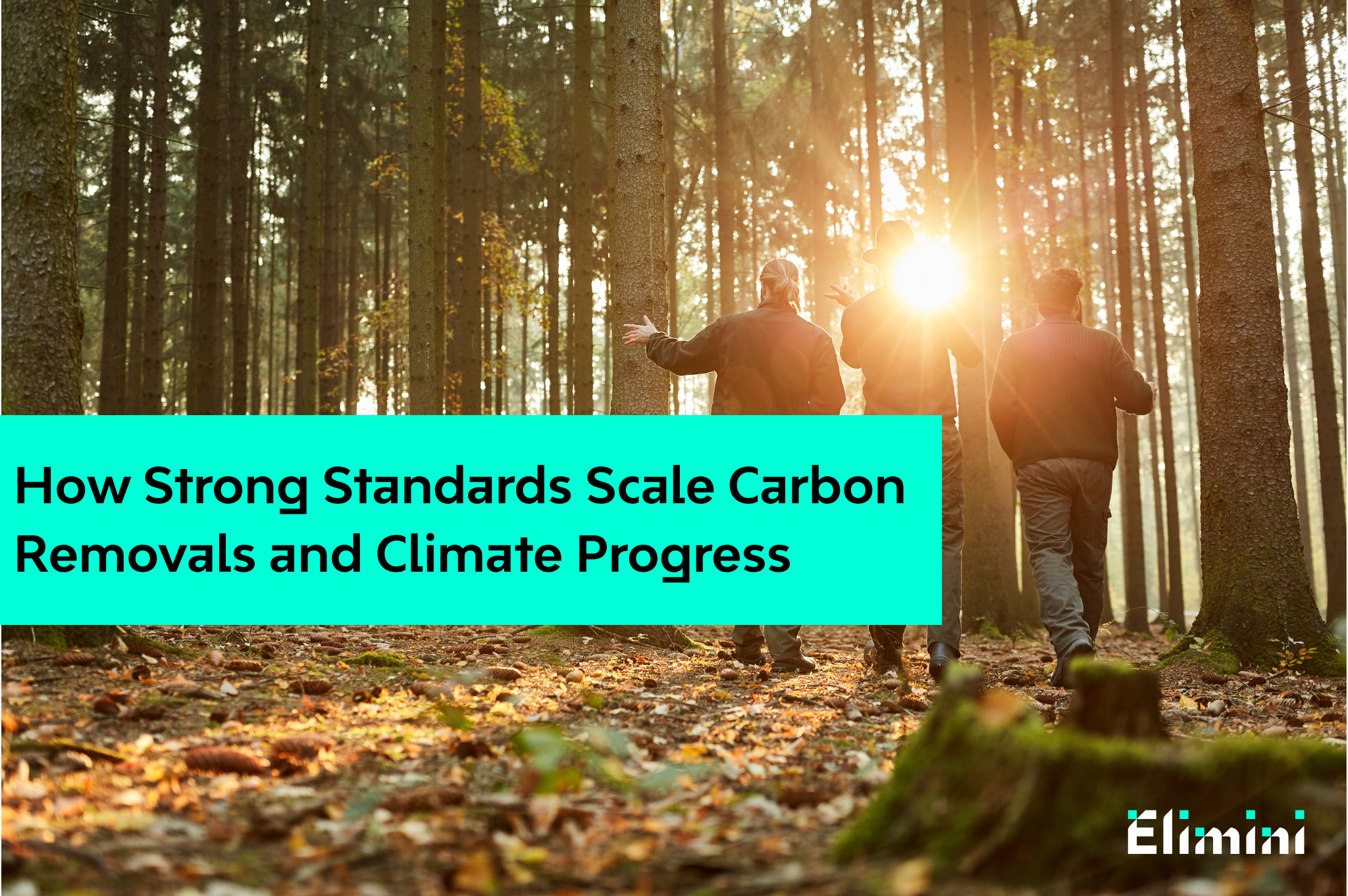 The lesson for business is clear: companies that commit to carbon removals early not only secure a climate win, but also help ensure future supply, turning early CDR investment into a lasting competitive advantage.
