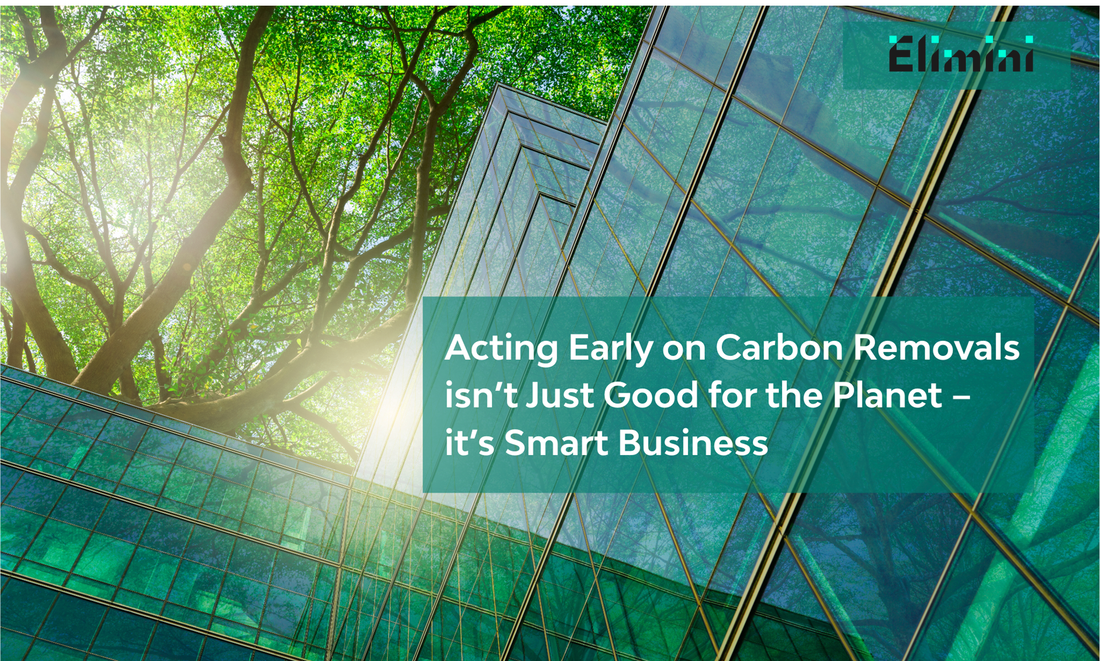 Companies are integrating carbon dioxide removals (CDRs) into their broader business strategies – and those who act early stand to benefit the most.