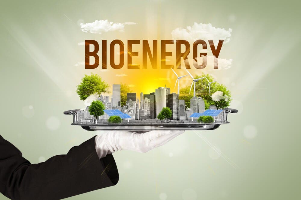 The Science Based Targets initiative (SBTi) is updating its Corporate Net-Zero Standard, sparking debate over how best to align business action with climate science. Proposals to require carbon removals from 2030 mark a step forward, but questions remain about whether cumulative rather than annual targets deliver real capacity growth. Shifting electricity goals from “renewable” to “zero carbon” broadens options but raises concerns over scope, lifecycle emissions and the exclusion of bioenergy.