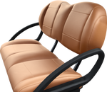 Accesory image