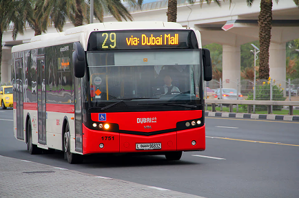 Bus