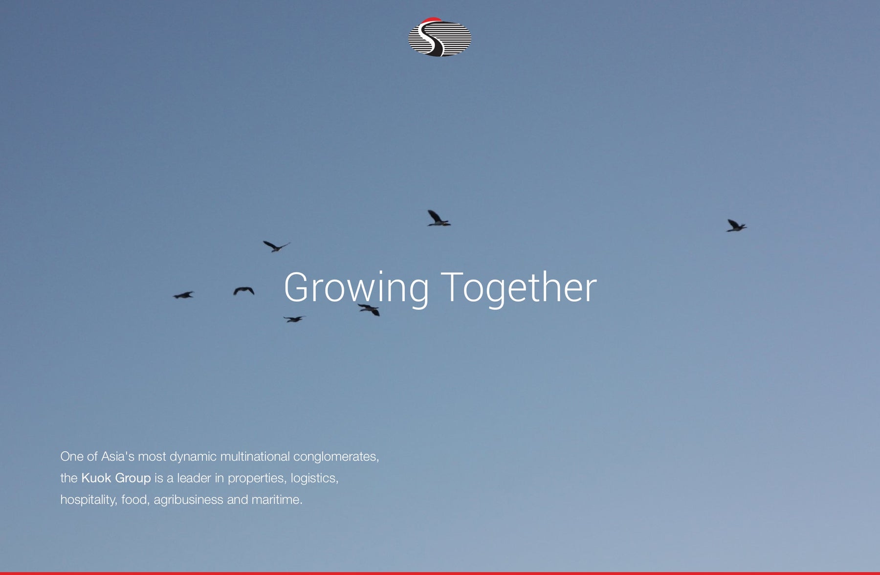 Designing a seamless, interactive website