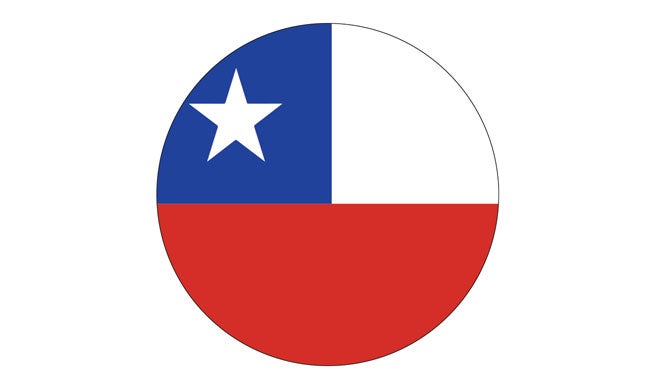 Flag for DKMS Chile