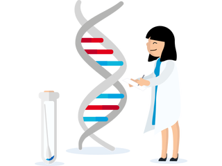 DNA helix