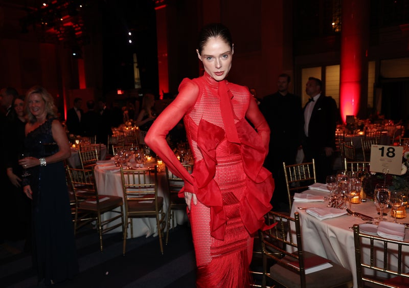 Coco Rocha attends the 17th Annual DKMS Gala
