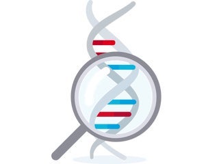 DNA Helix DNA Helix