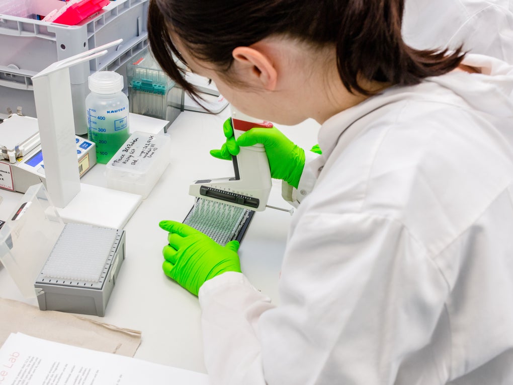 Pipetting process in the DKMS laboratory Pipetting process in the DKMS laboratory