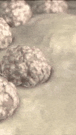 White blood cells and cancerous blood cells