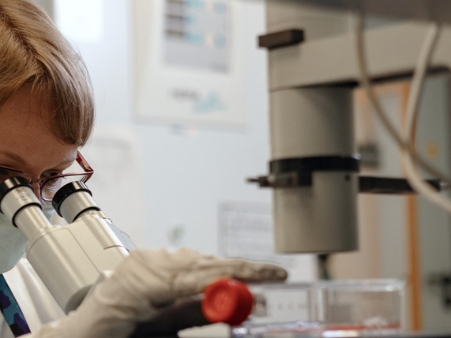 Scientist looking through a microscope Scientist looking through a microscope