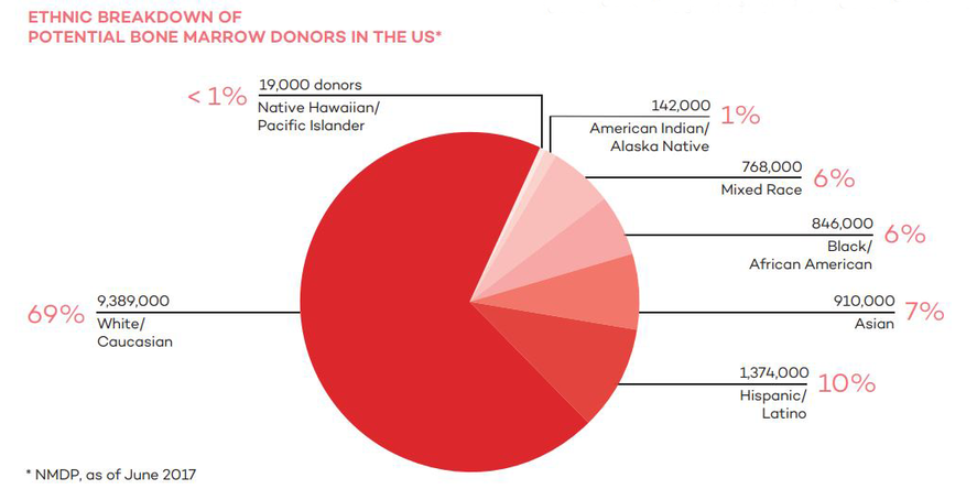 The ethnic breakdown of potential bone marrow donors in the US The ethnic breakdown of potential bone marrow donors in the US
