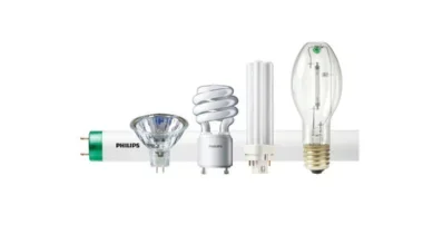 signify incandescent bulbs