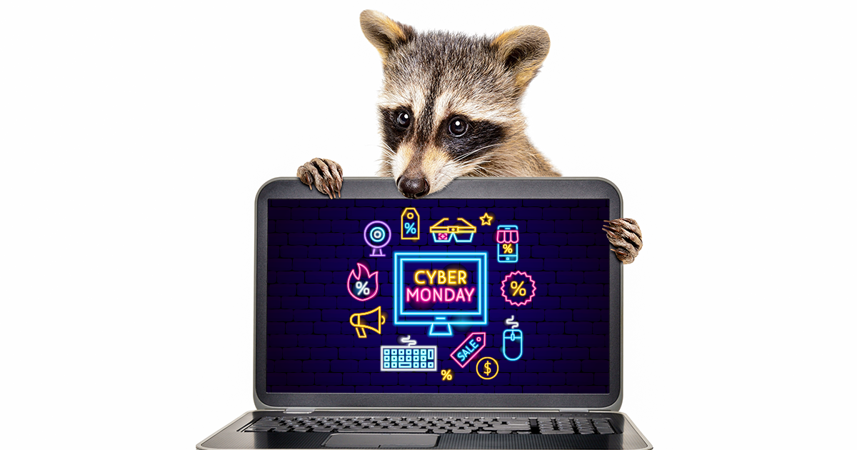 Avoid Cyber Monday Scams Watching out for online scams on holidays
