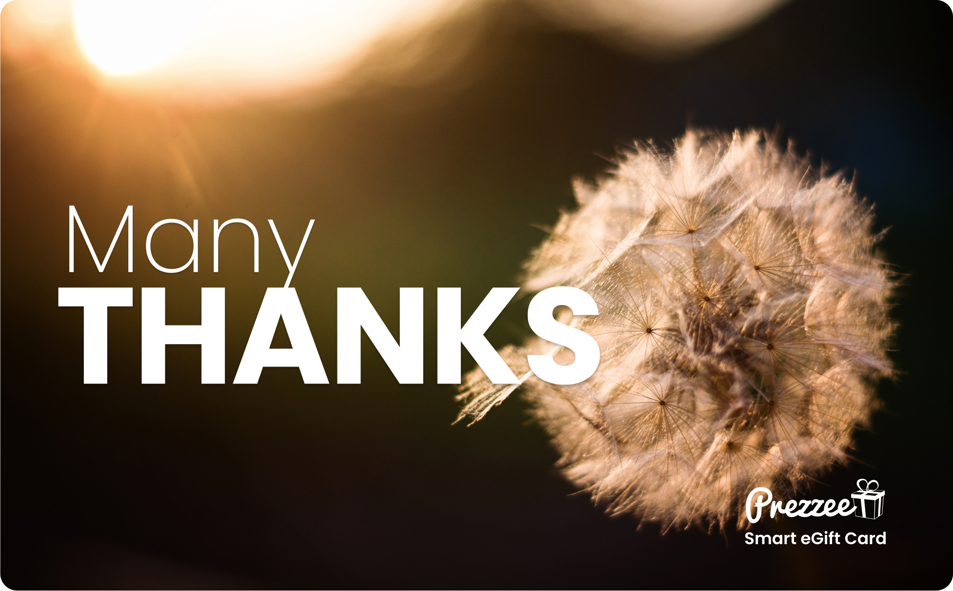 Many Thanks Smart eGift Card gift card image