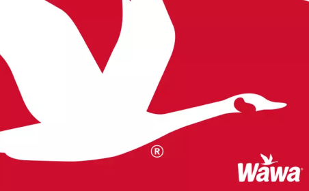 Wawa eGift Card gift card image