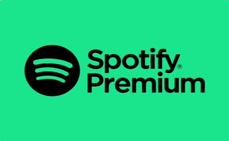 Spotify Premium eGift Card eGift Card gift card image