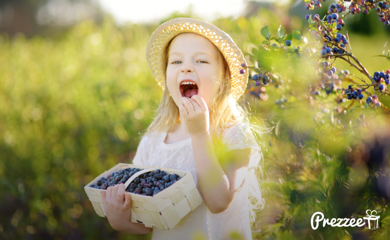 Blueberry Cheesecake Day Smart eGift Card gift card image