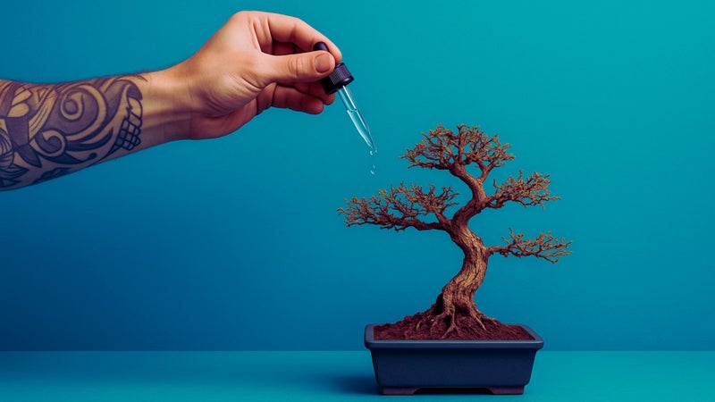 Startup Founders are Limiting Growth by Staying Locally Remote