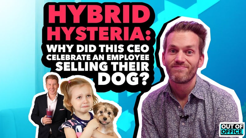 🤪 Does your boss have hybrid hysteria? | Ep36 OoO
