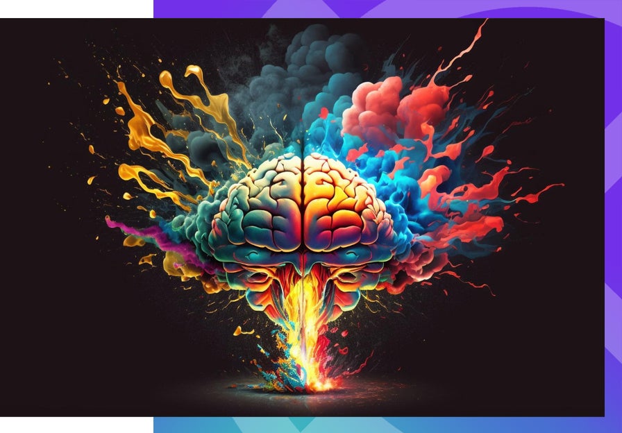 The Highest CCat Score is 50/50. Colorful brain image. 