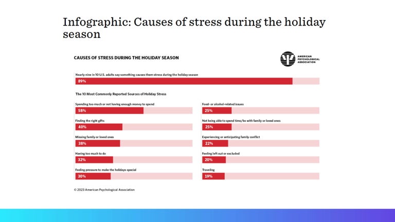 Stressors for US workers during the holiday season.