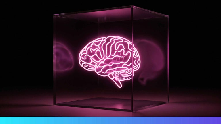 Brain neon in a box.