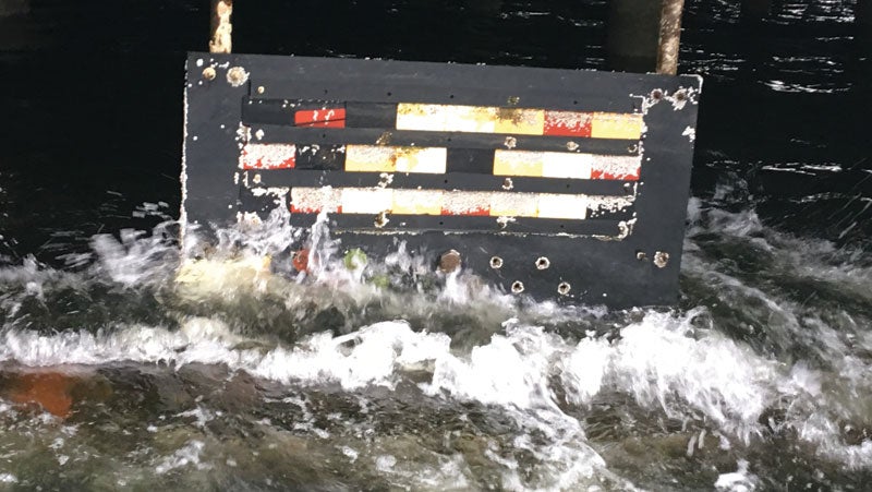 A board submerged in the North Sea with a variety of PPG's protective coatings on to test for corrosion.