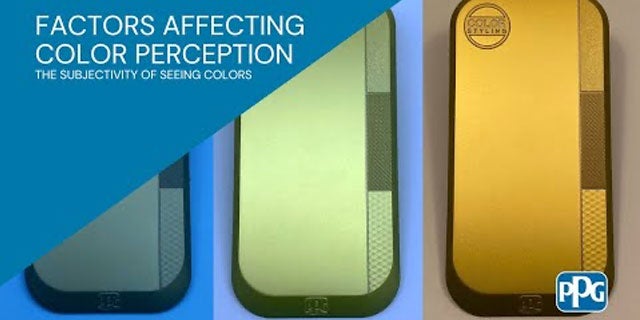 Factors Affecting Color Perception: The Subjectivity of Seeing Colors