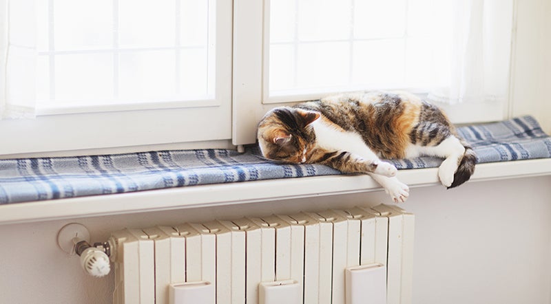 Cat lying on a cosy blanket on a window sill over a radiator.