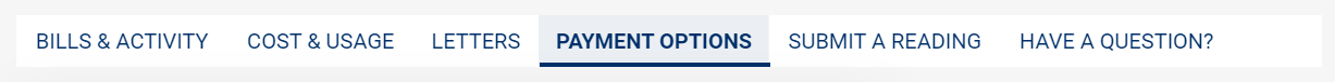 Payment options tab on online account