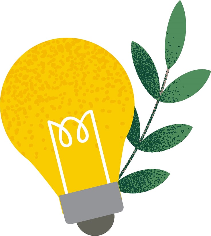 Cartoon image of lightbulb and plant