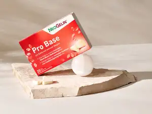 Packung von NeoGelin Pro Base auf einer Steinplatte.